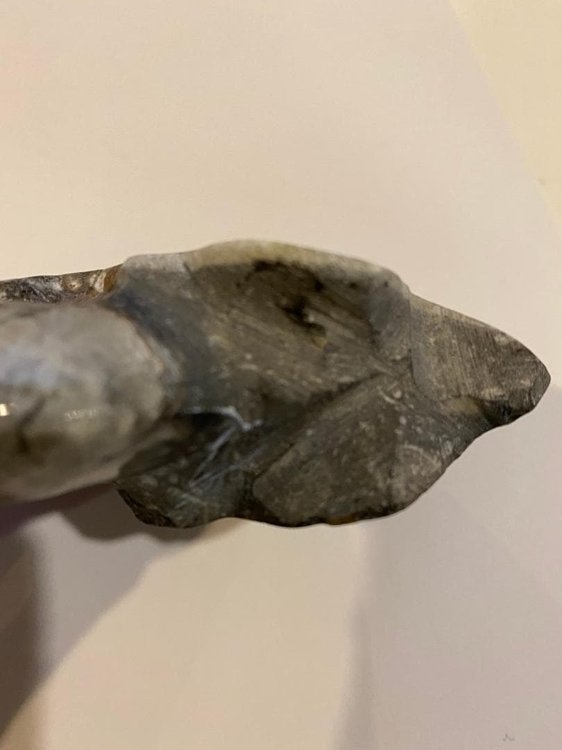 モロッコ産　アンモナイト　化石　⑱