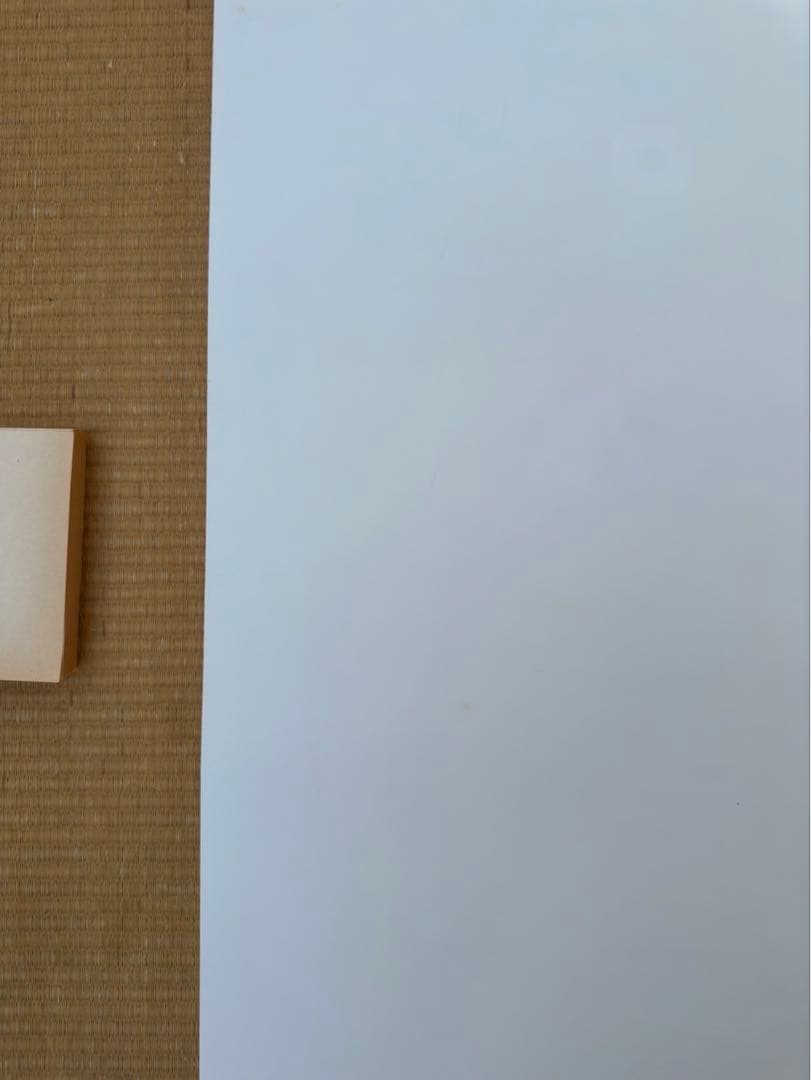 マ*コ様 【18】となりのトトロ　ジブリ　宮崎駿　ポスター