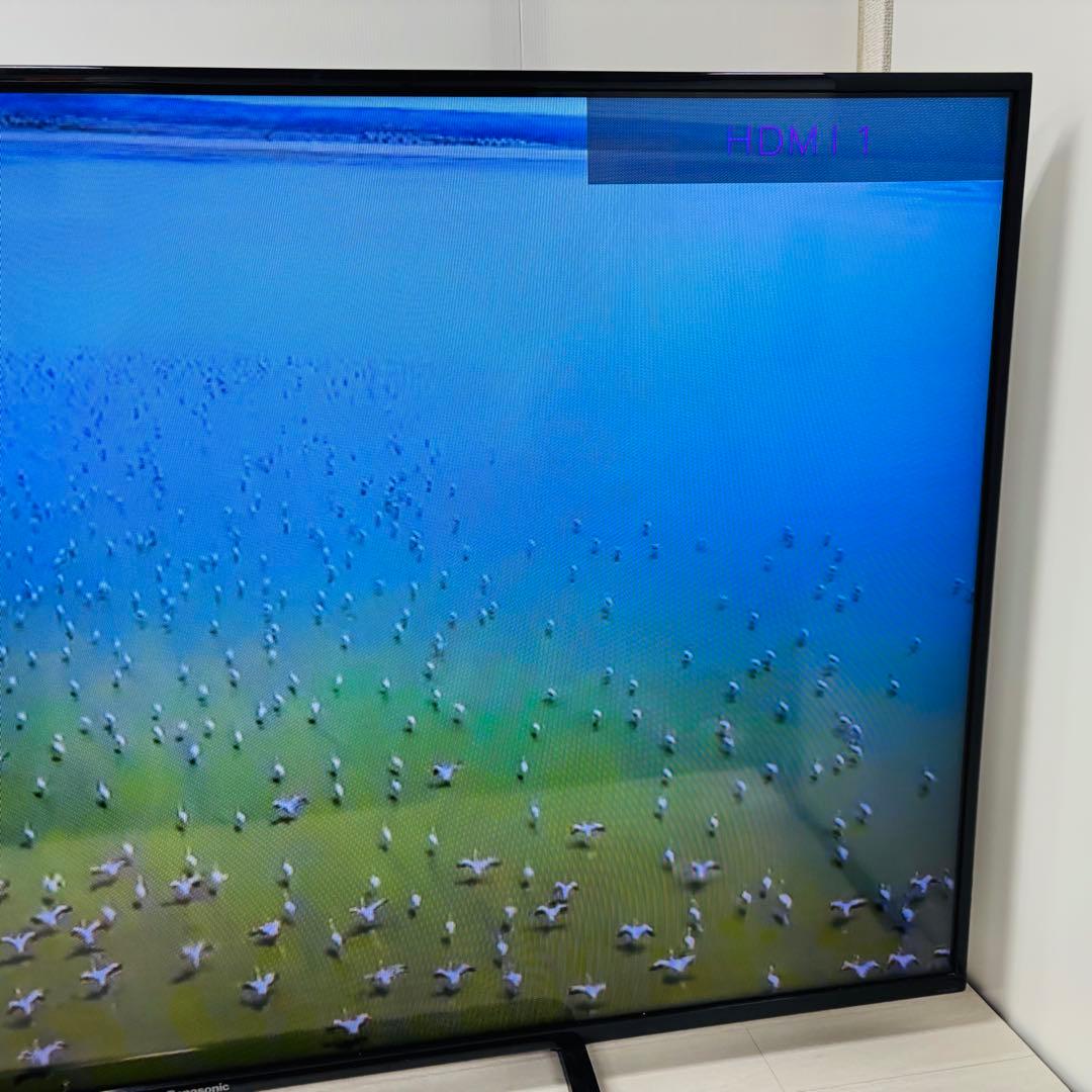 Panasonic 50型 液晶テレビ TH-50C300 2015年製