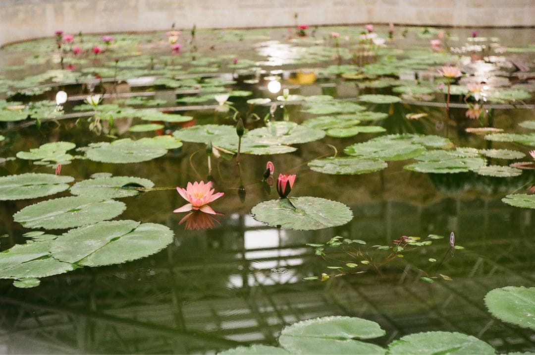 ライカ　M3 ズマリット　レンズセット　オーバーホール済み