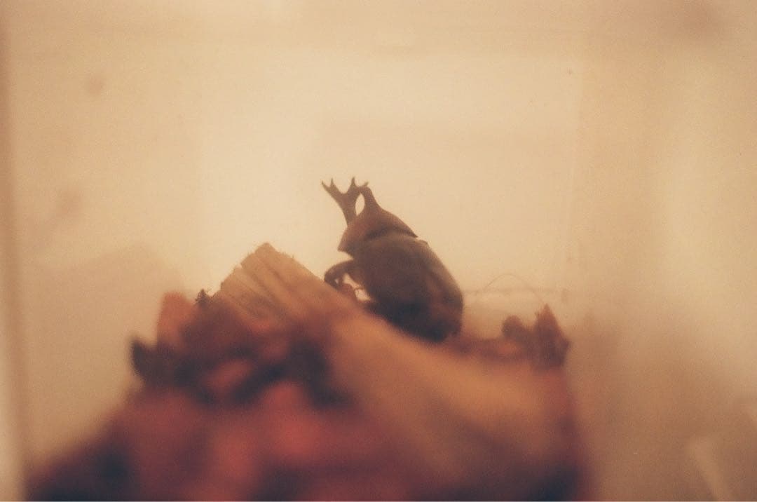 PENTAX super A レンズセット