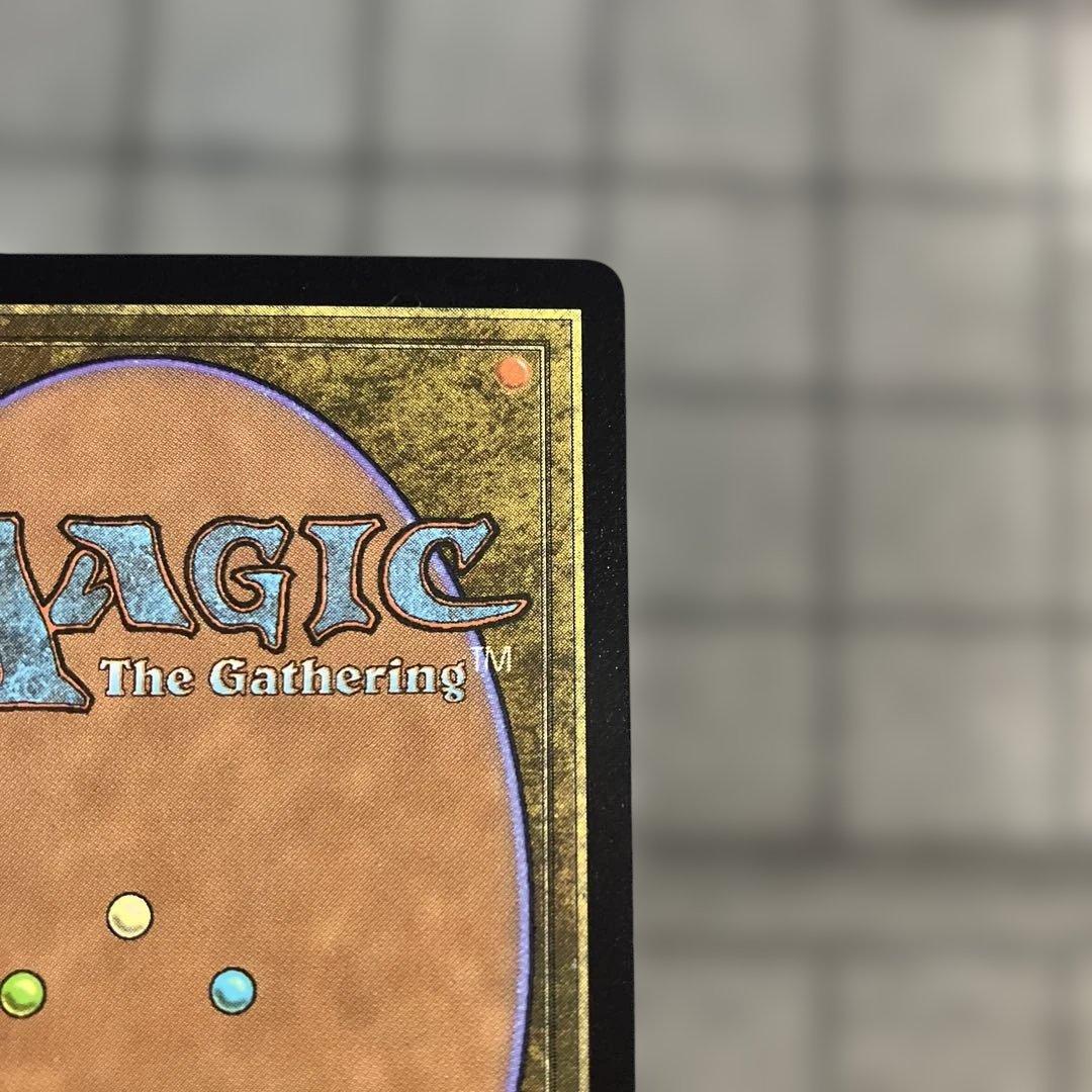 お*読様 MTG FF スピラの希望、ユウナ チョコボトラック foil バンド