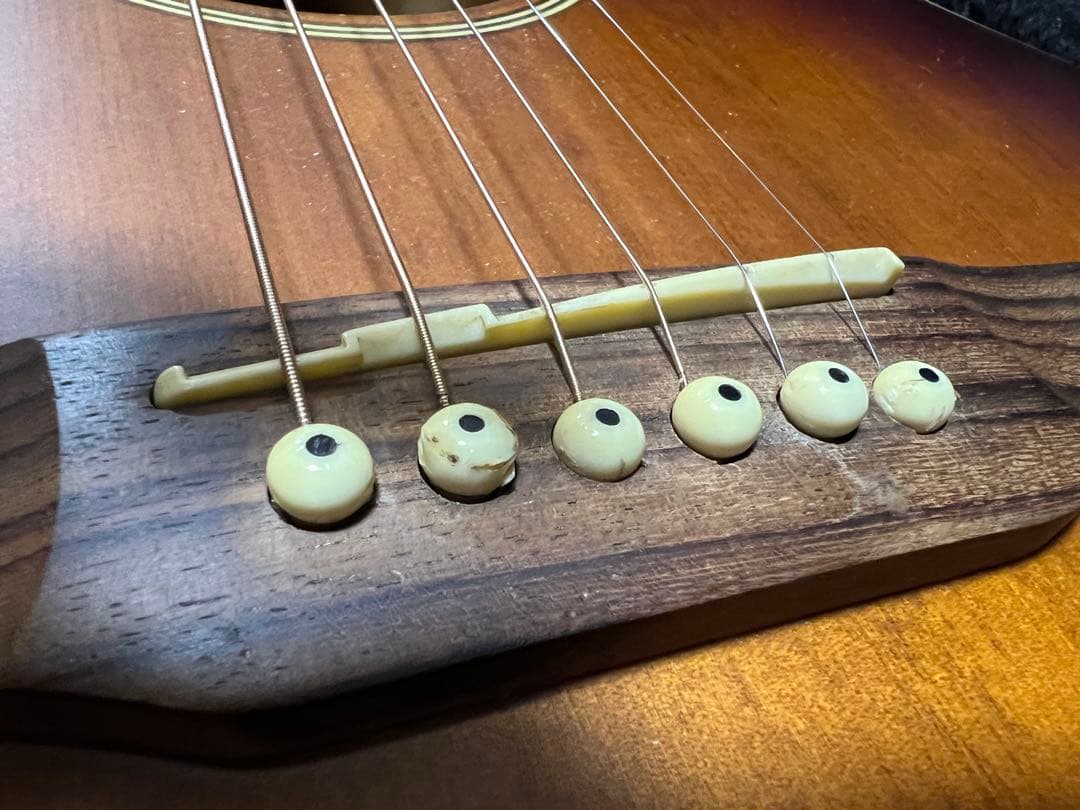 Takamine G Series エレアコ