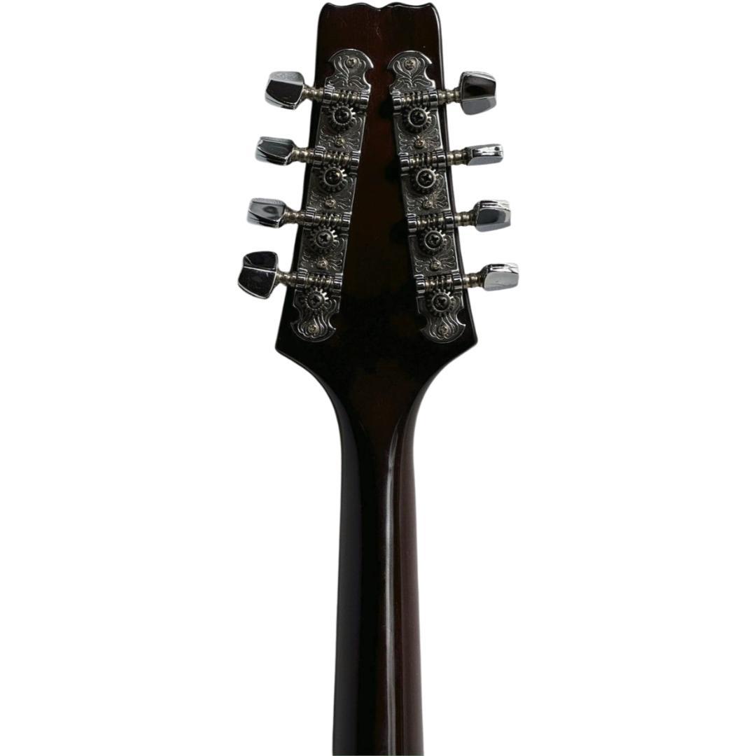 弦楽器 ARIA FlatMandolin AM-200E
