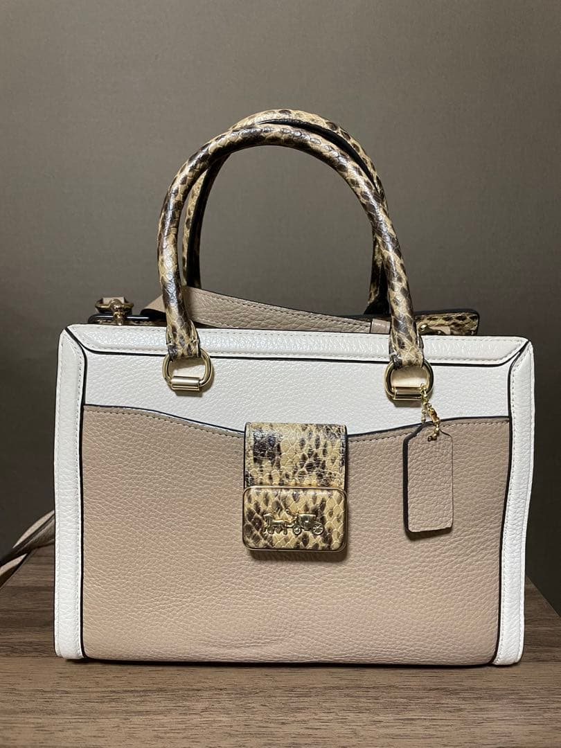 COACH グレース キャリーオール・カラーブロック