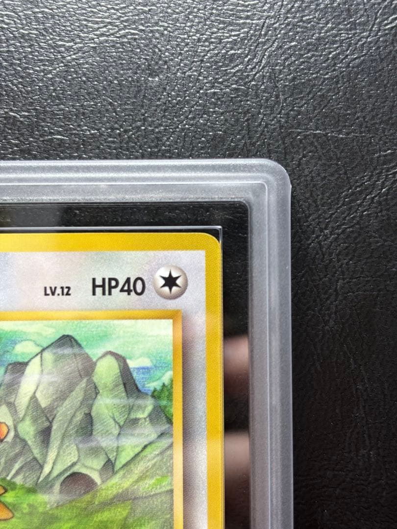 【ARS10】オニスズメ 旧裏 拡張シート