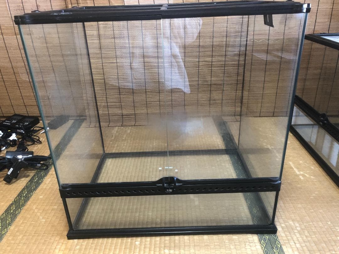 GEX エキゾテラ グラステラリウム 6060 爬虫類 ケージ