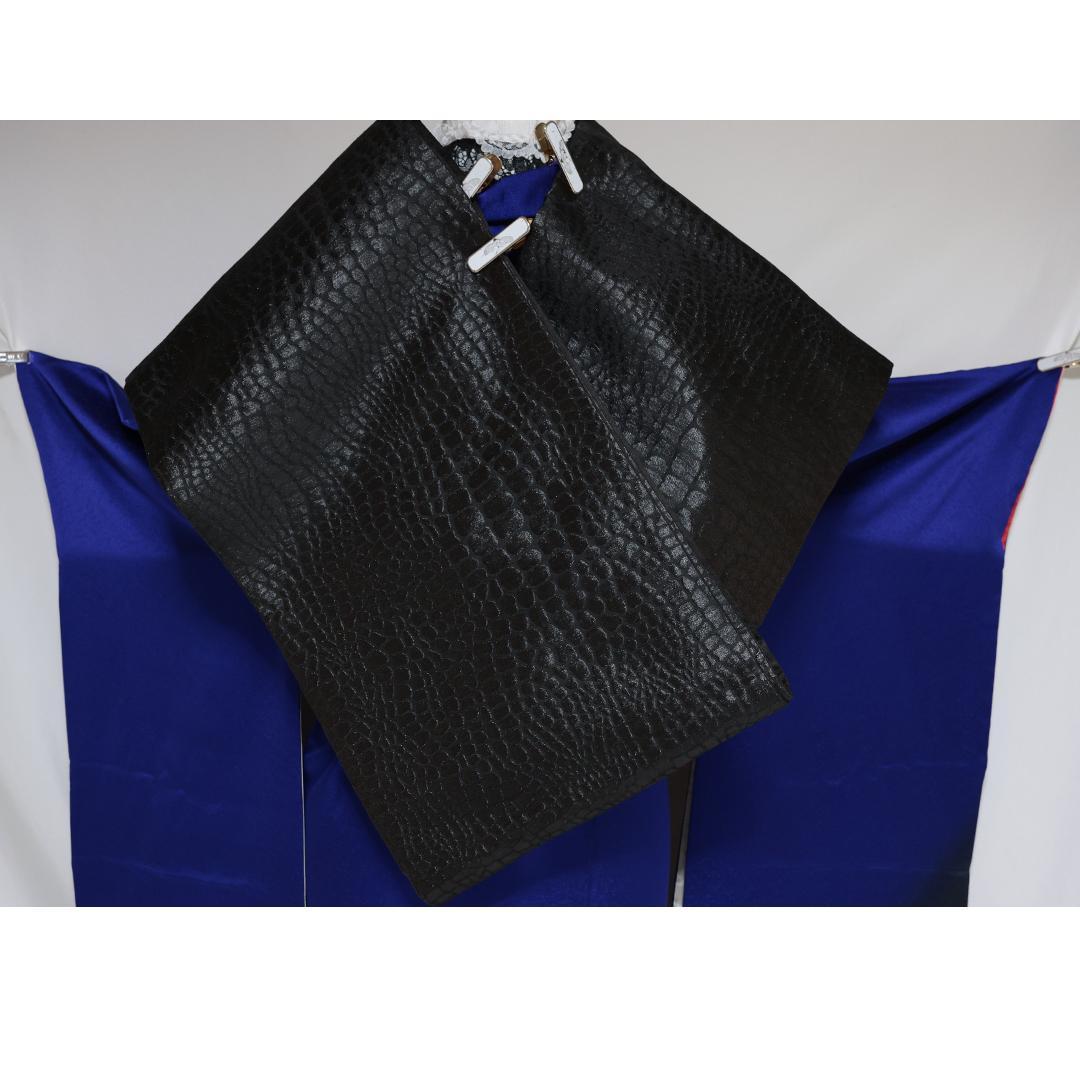 振袖単品単体■171.5cm トールサイズ 正絹 成人式前撮りAU52