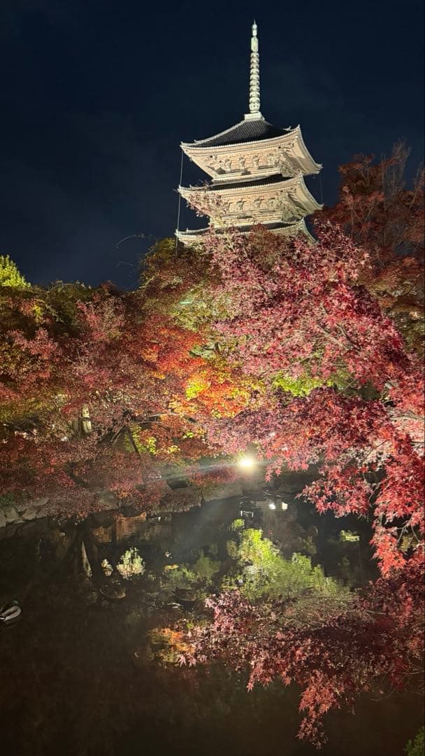 【ジャンク特価：使用可】iPhone14Pro シルバー512GB SIMフリー