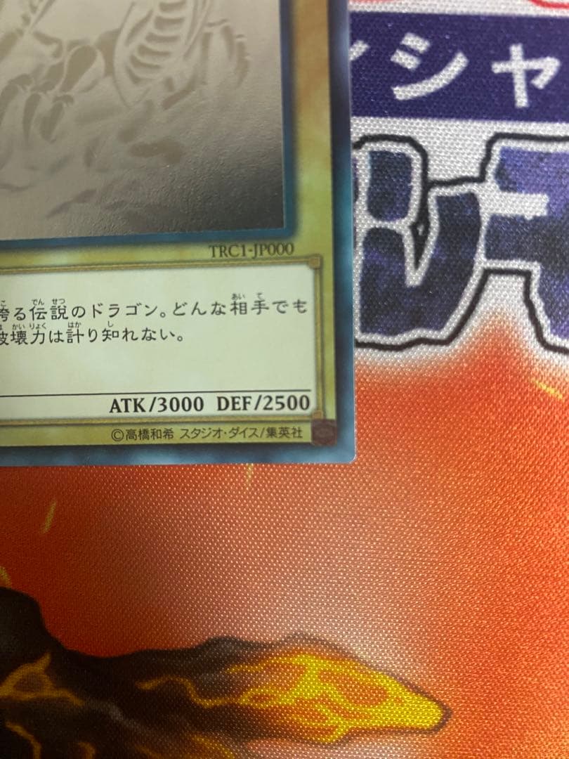 青眼の白龍 TRC ホロ　五つ眼　遊戯王
