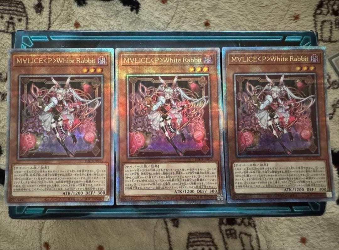 K*n様 M∀LICE<P>White Rabbit ホワイトラビット　アジア