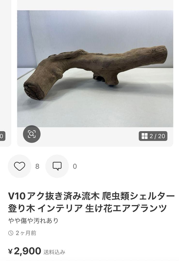 R70アク抜き済み流木 爬虫類シェルター レイアウト用 インテリア エアプランツ