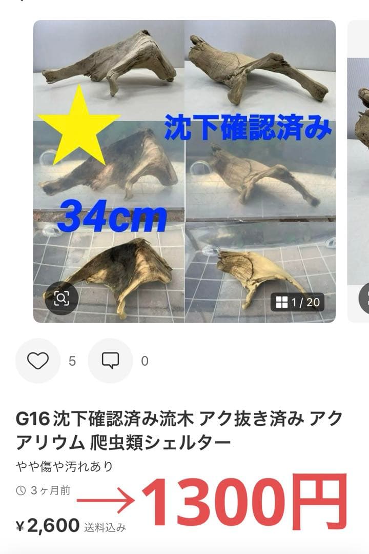 R70アク抜き済み流木 爬虫類シェルター レイアウト用 インテリア エアプランツ