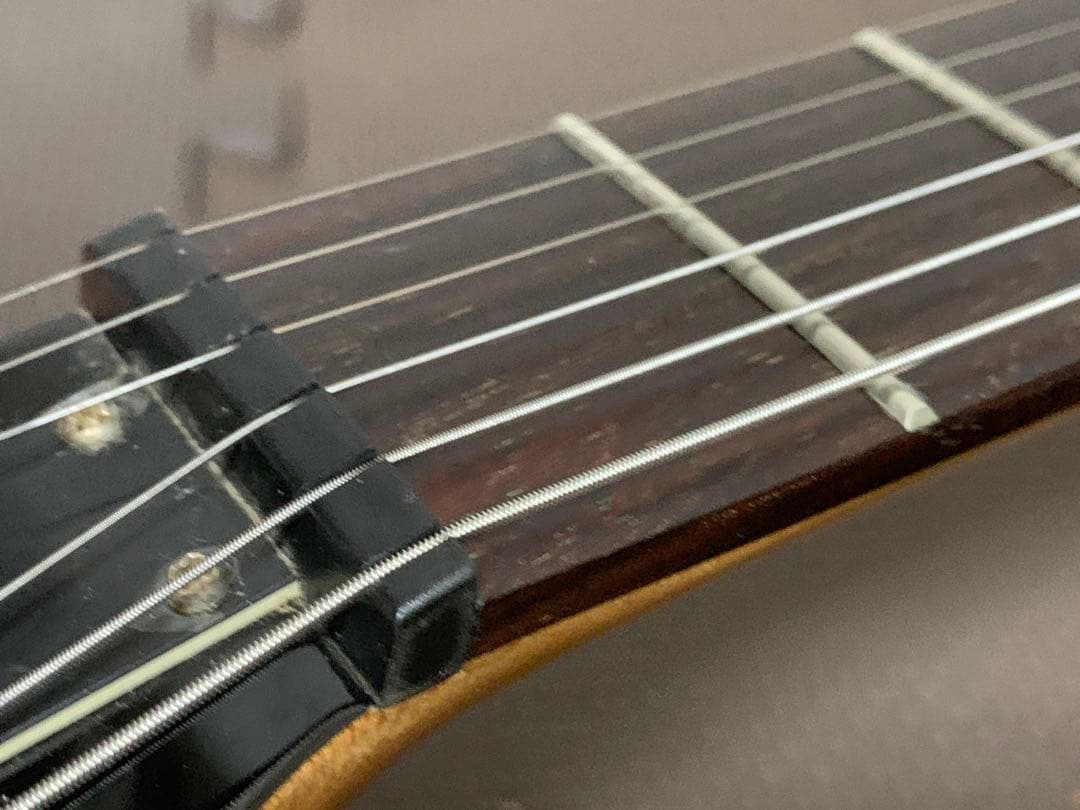 Chatting Bird Mockingbird モッキンバード hide