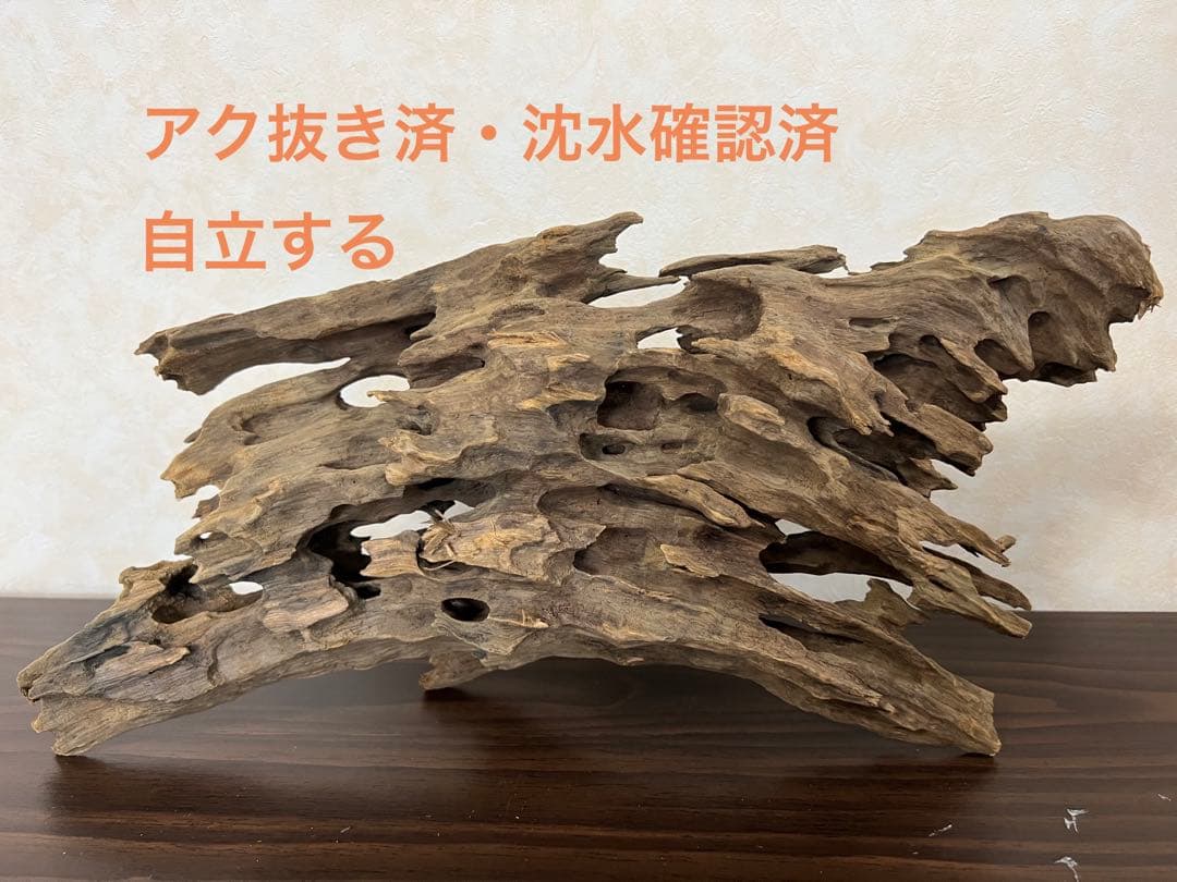 XM-212 流木　マシンガンウッド　アクアリウム　沈水確認済ブランチウッド