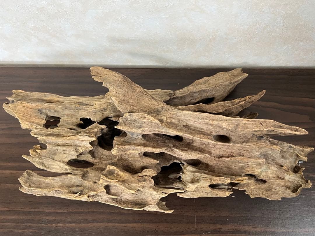 XM-212 流木　マシンガンウッド　アクアリウム　沈水確認済ブランチウッド