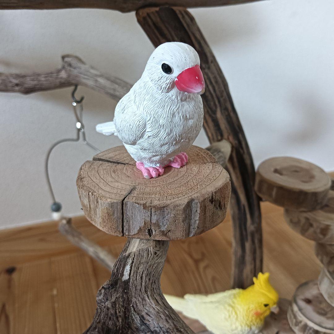 バードアスレチックジム ⑩ 天然木 自然木 流木 インコ おもちゃ