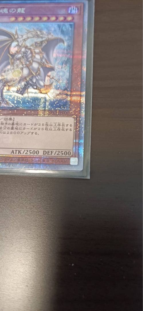 誇りと魂の龍　25th クオシク