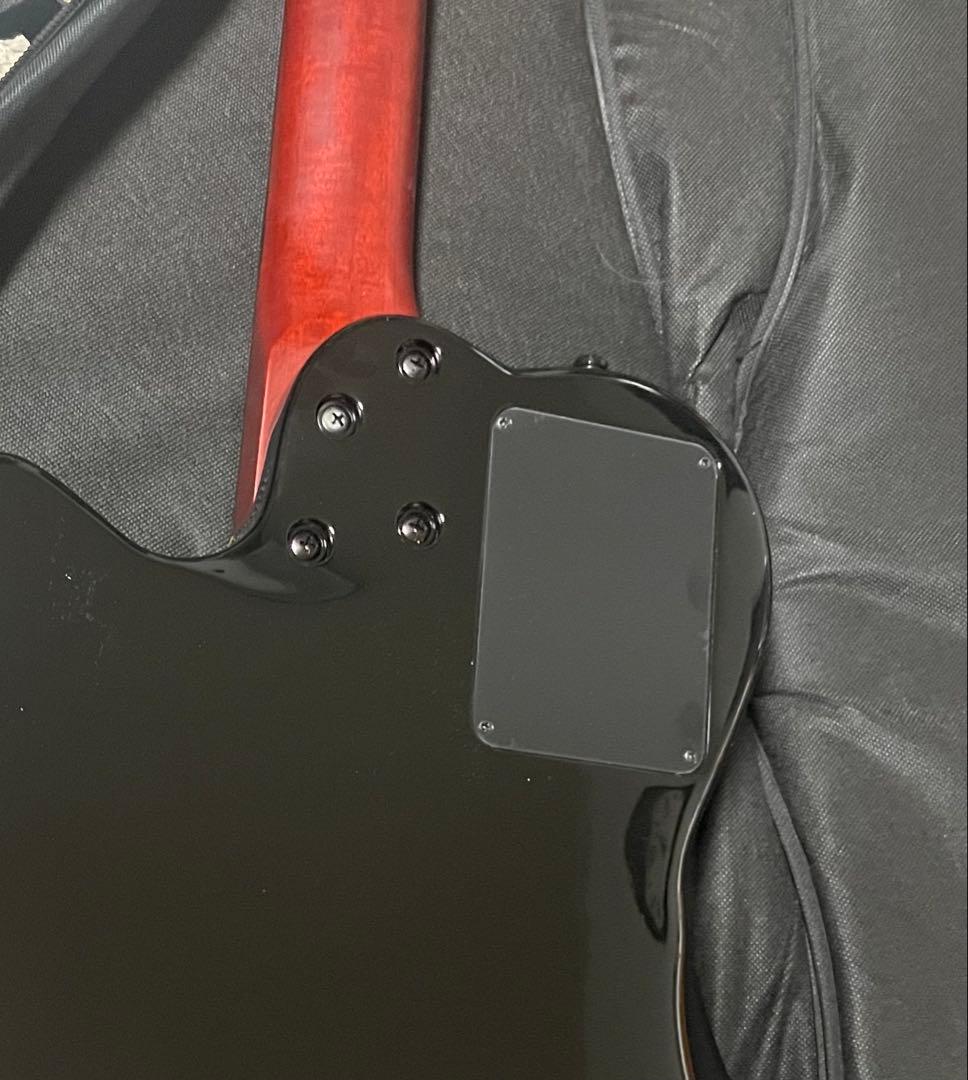 【レア美品】ゴダン Godin ACS Slim SA ナイロンギター 黒