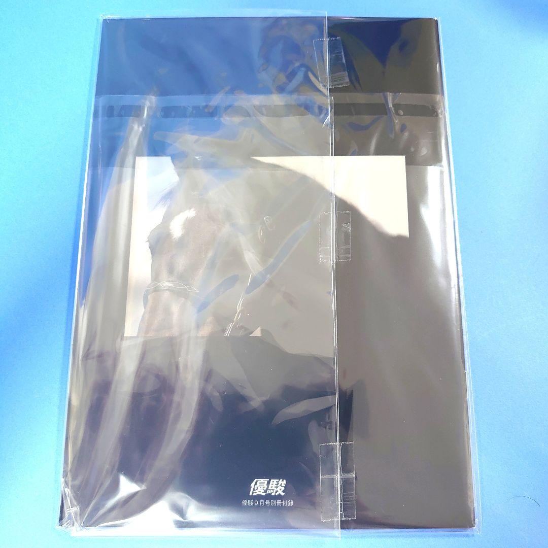 【稀少】シンボリルドルフ ぬいぐるみ 馬アイドルホース ウマ娘 競馬AVANTI