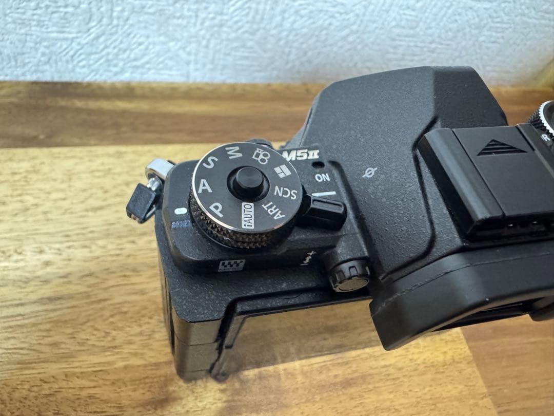 OLYMPUS OM-D E-M5 Mark II 【シャッター数6367】