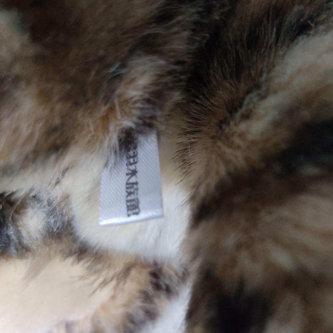 鳥羽水族館　ぬいぐるみ　スナドリネコ　ぬいぐるみ　漁り猫