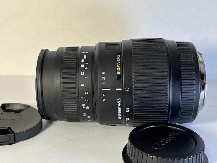 ★美品★シグマ 70-300mm F4-5.6 DG MACRO キヤノンEF