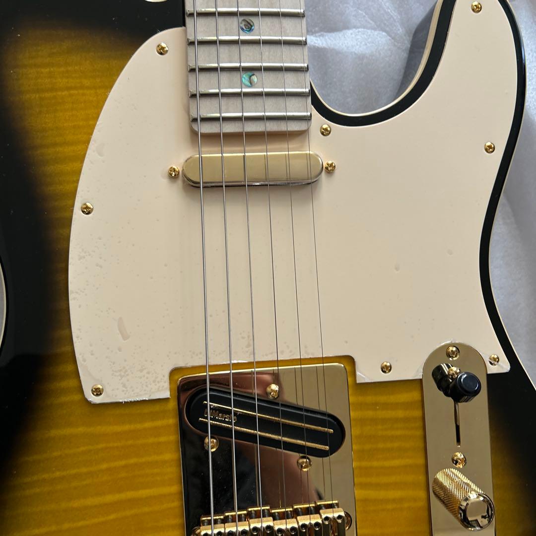 フェンダー Ritchie Kotzen Telecaster Sunburst