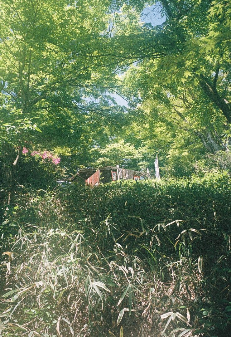 フィルムカメラ FUJIFILM KLASSE W Black