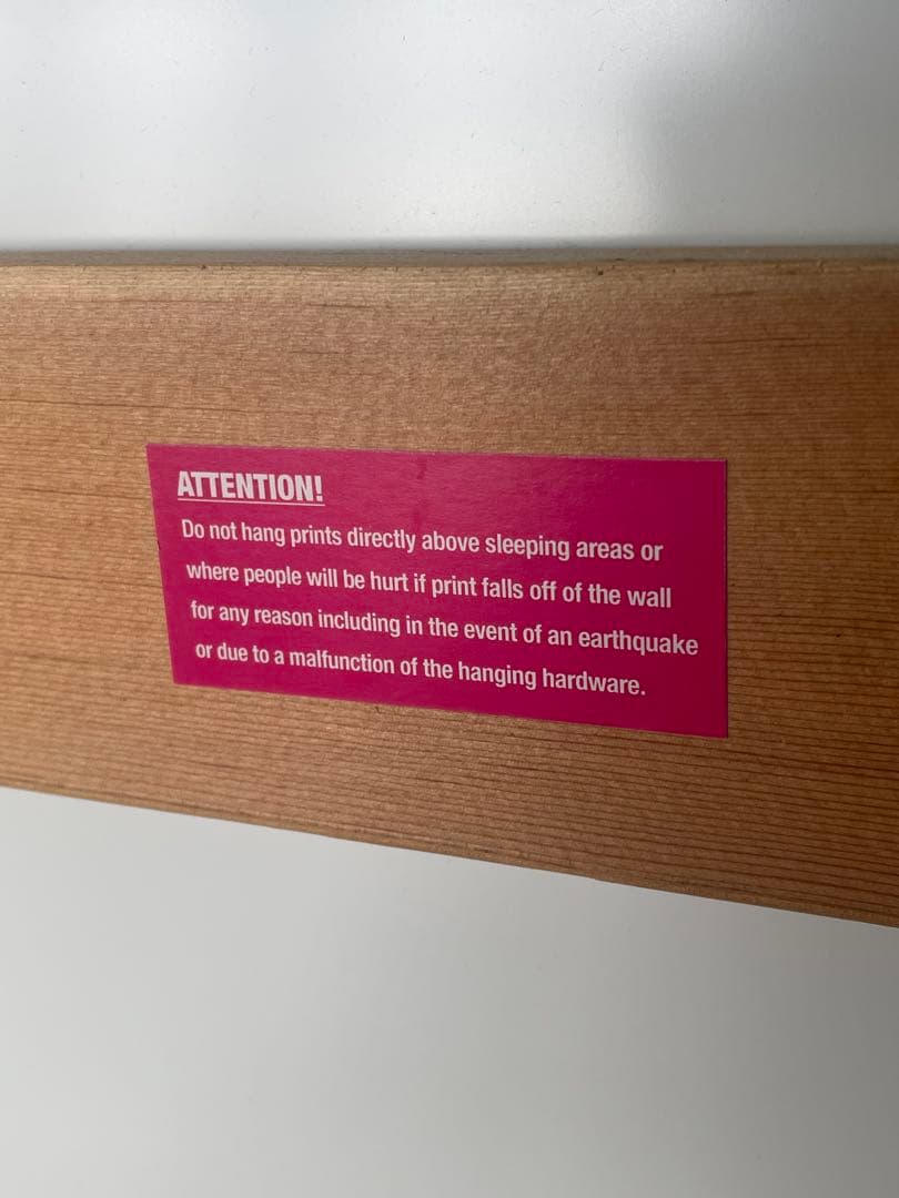 迫力満点！シマウマ アートプリント 写真　壁掛け用（101.5cm✖️51cm）