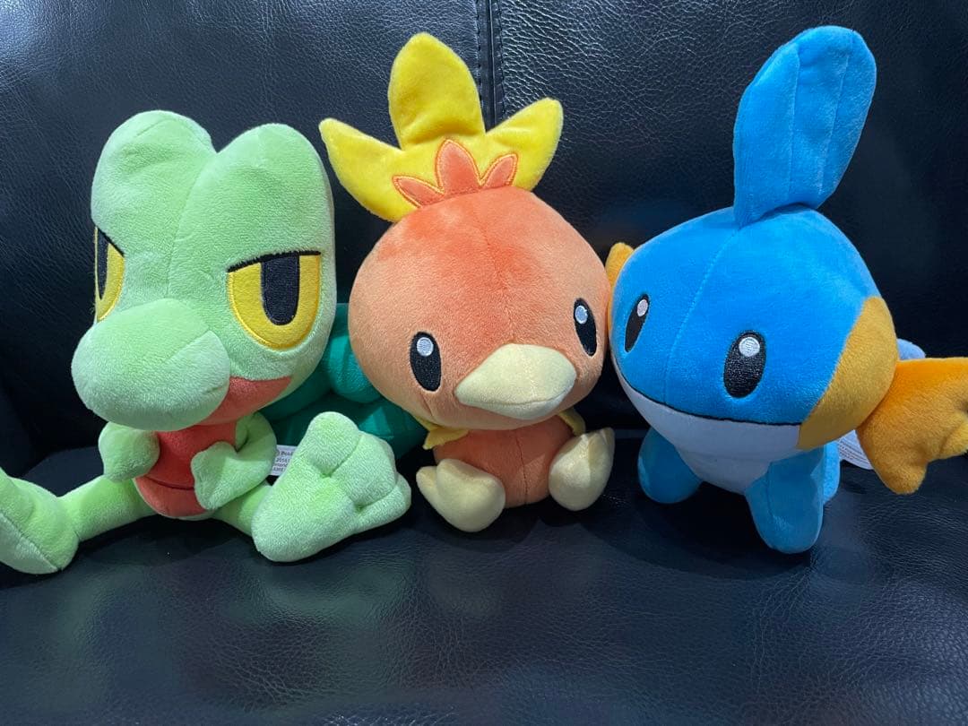 キモリ アチャモ ミズゴロウ ドール　ポケモン