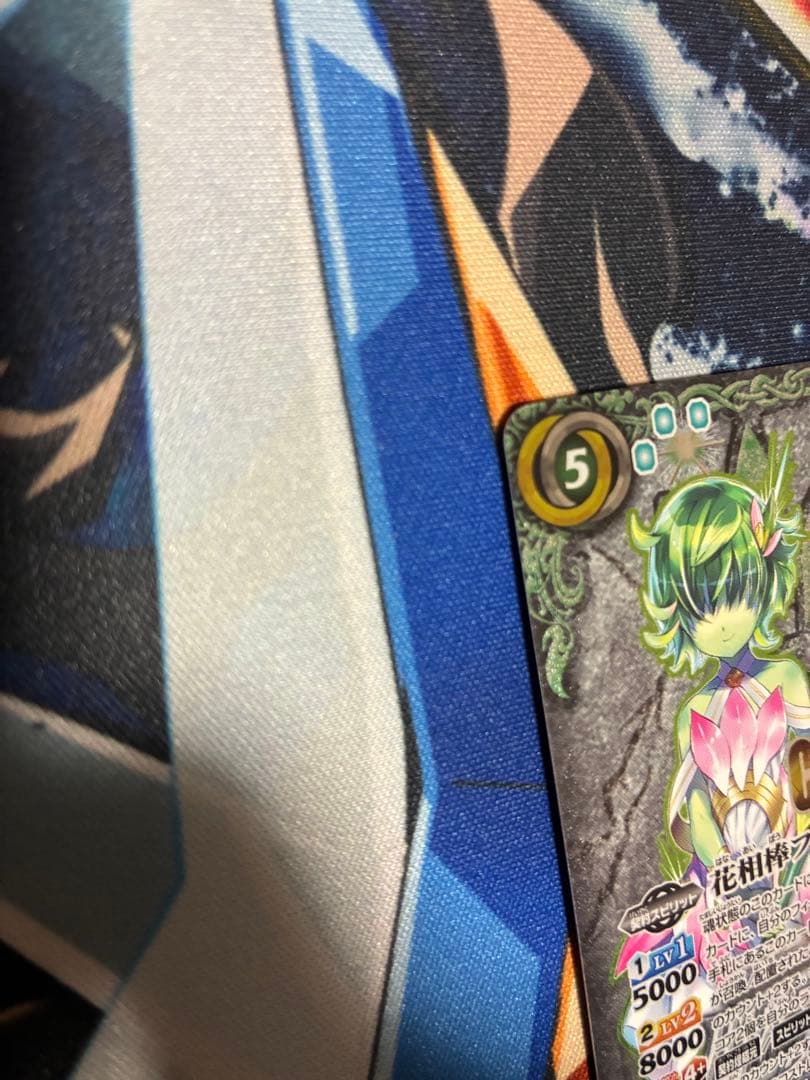 花相棒フラウ CHAMPION