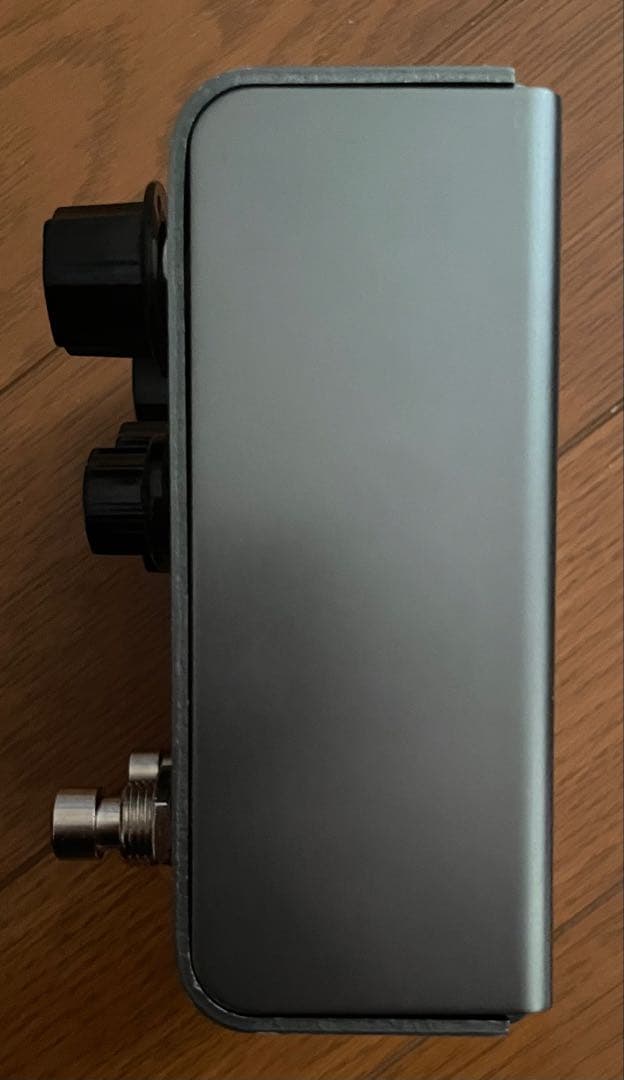 ギター Strymon El Capistan dTape Echo v1