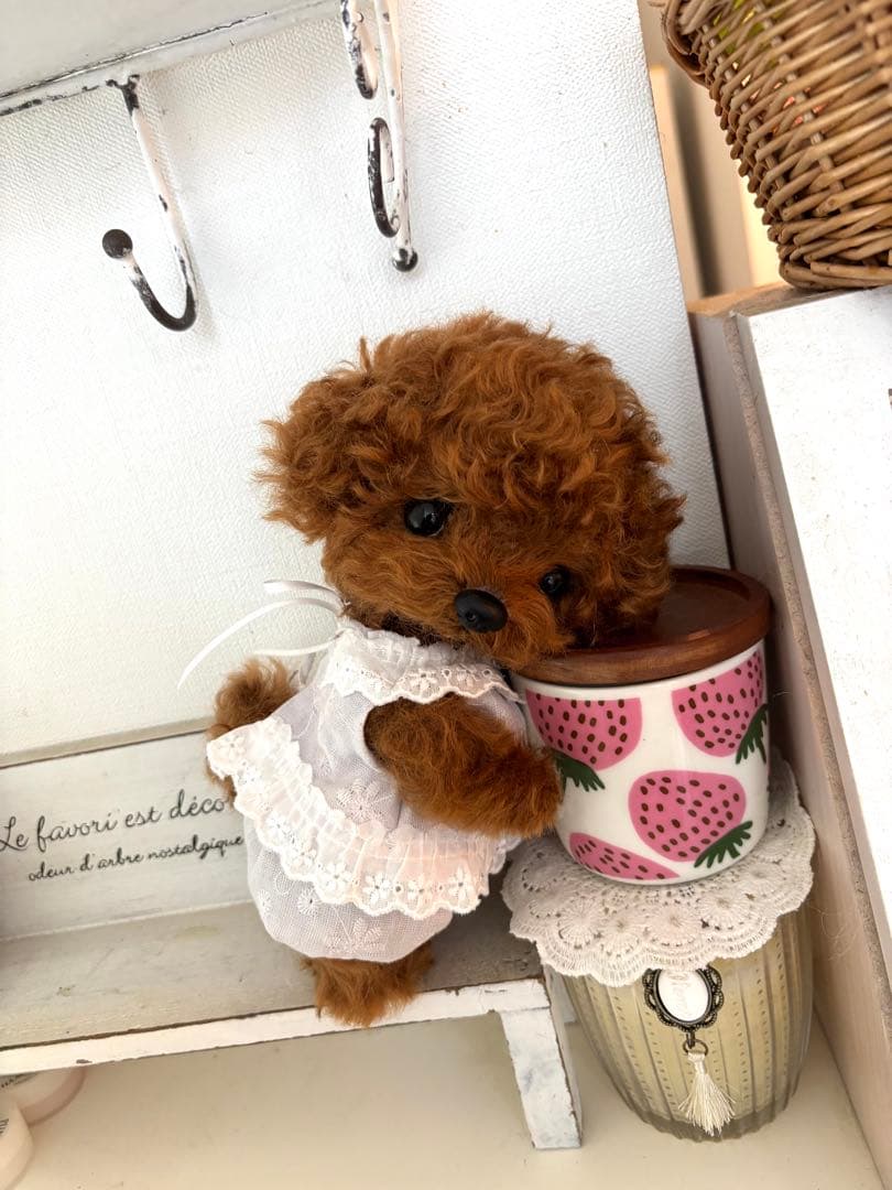 テディプードル　テディわんこ　トイプードル　 ぬいぐるみ　マルプー