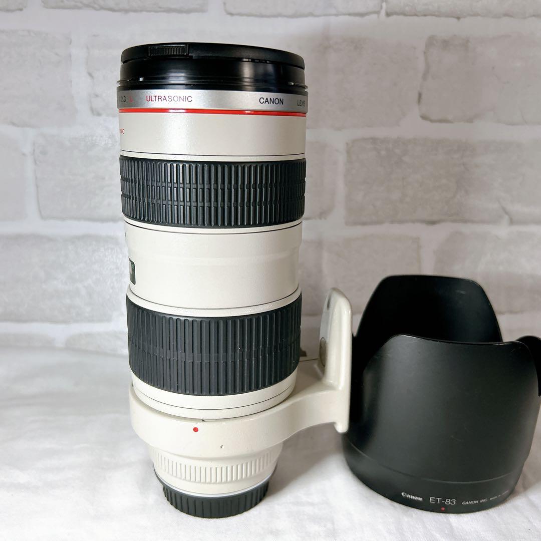 ✨️期間限定セール✨【Canon EF70-200mm F2.8L USM】