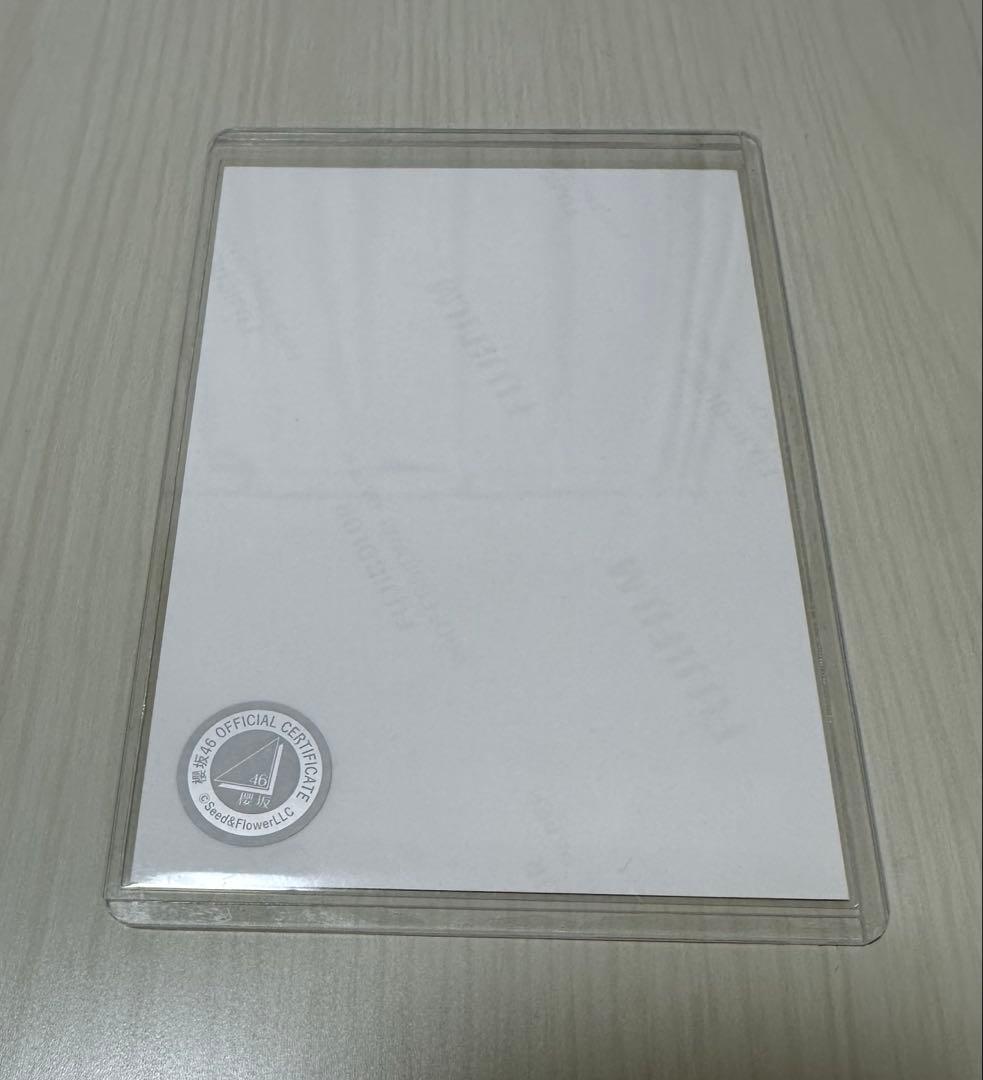 櫻坂46 直筆サイン入り生写真 サンタ2024 小島凪紗 ヨリ