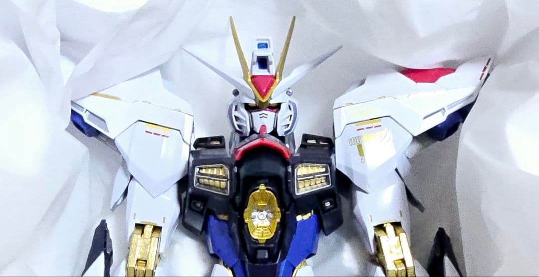 メタルビルド　ストライクフリーダムガンダムFESTIVAL 2024 & 光の翼