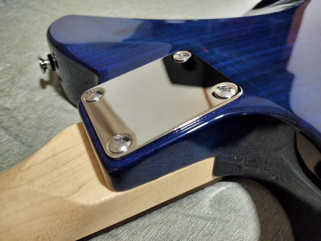 SCHECTER OL-PT-TH STB 【スポット生産モデル】軽量2.6kg