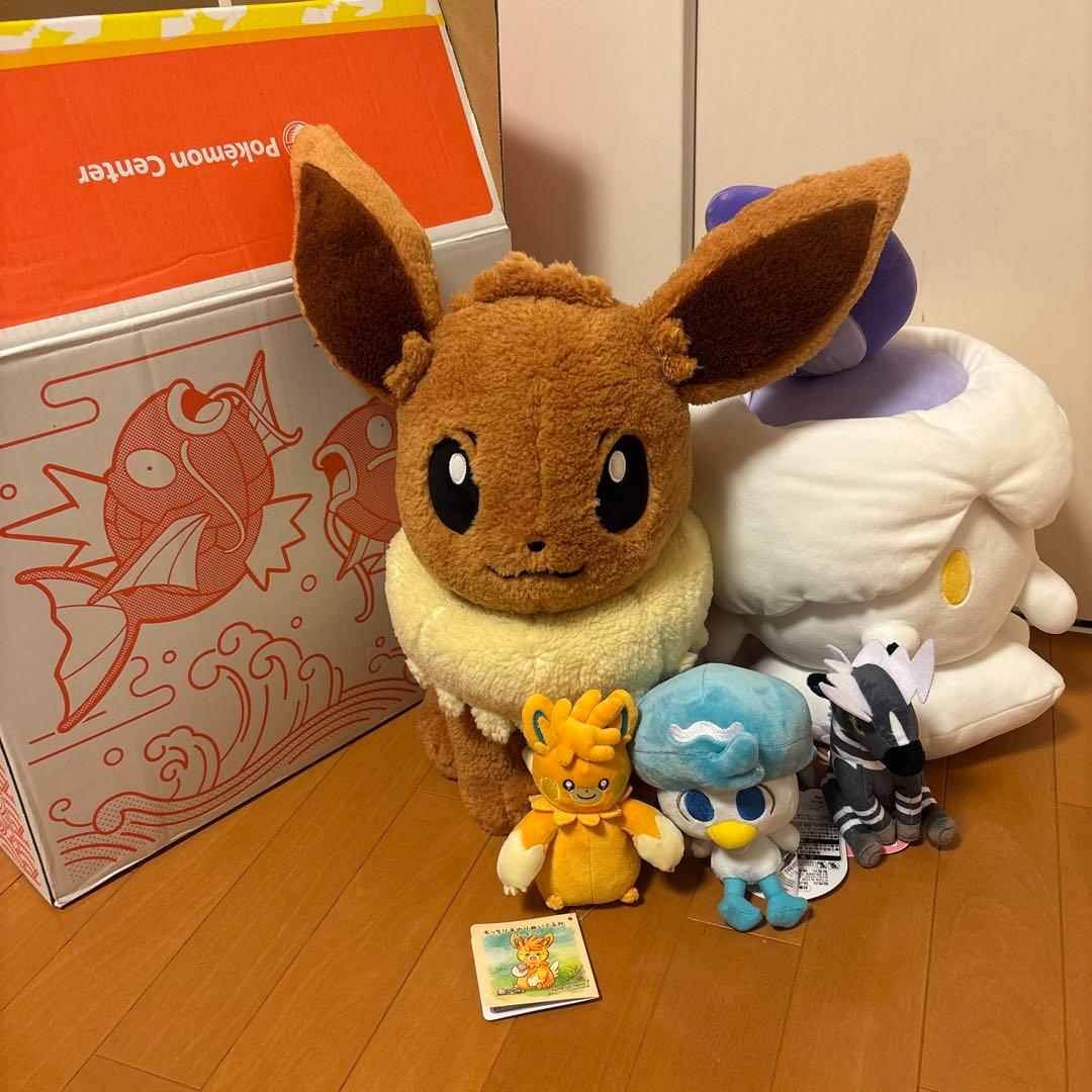 ポケモンセンターオンラインの「ピカピカボックス2026年です。