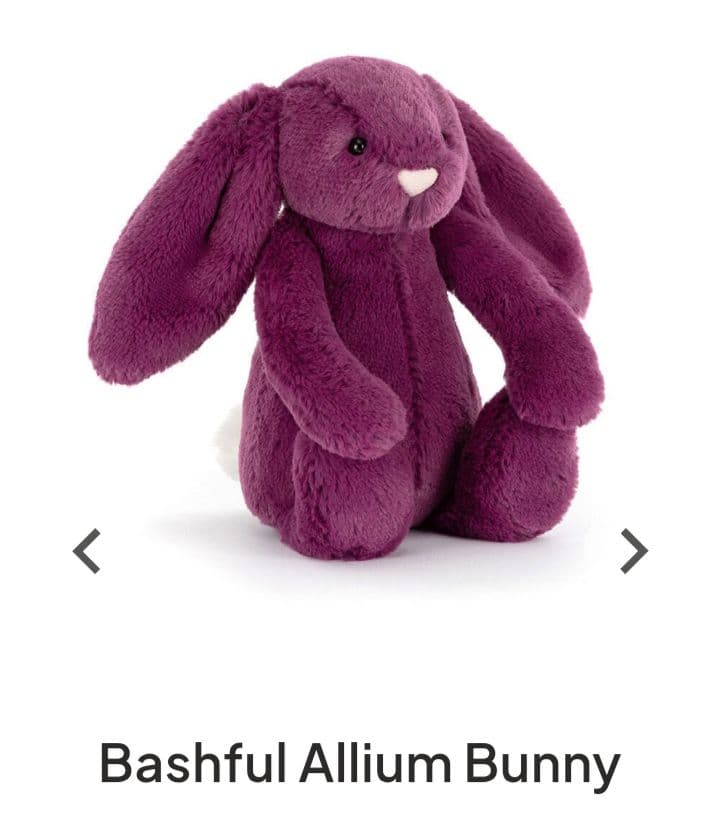  little allium Bunny　パープル　紫　うさぎ