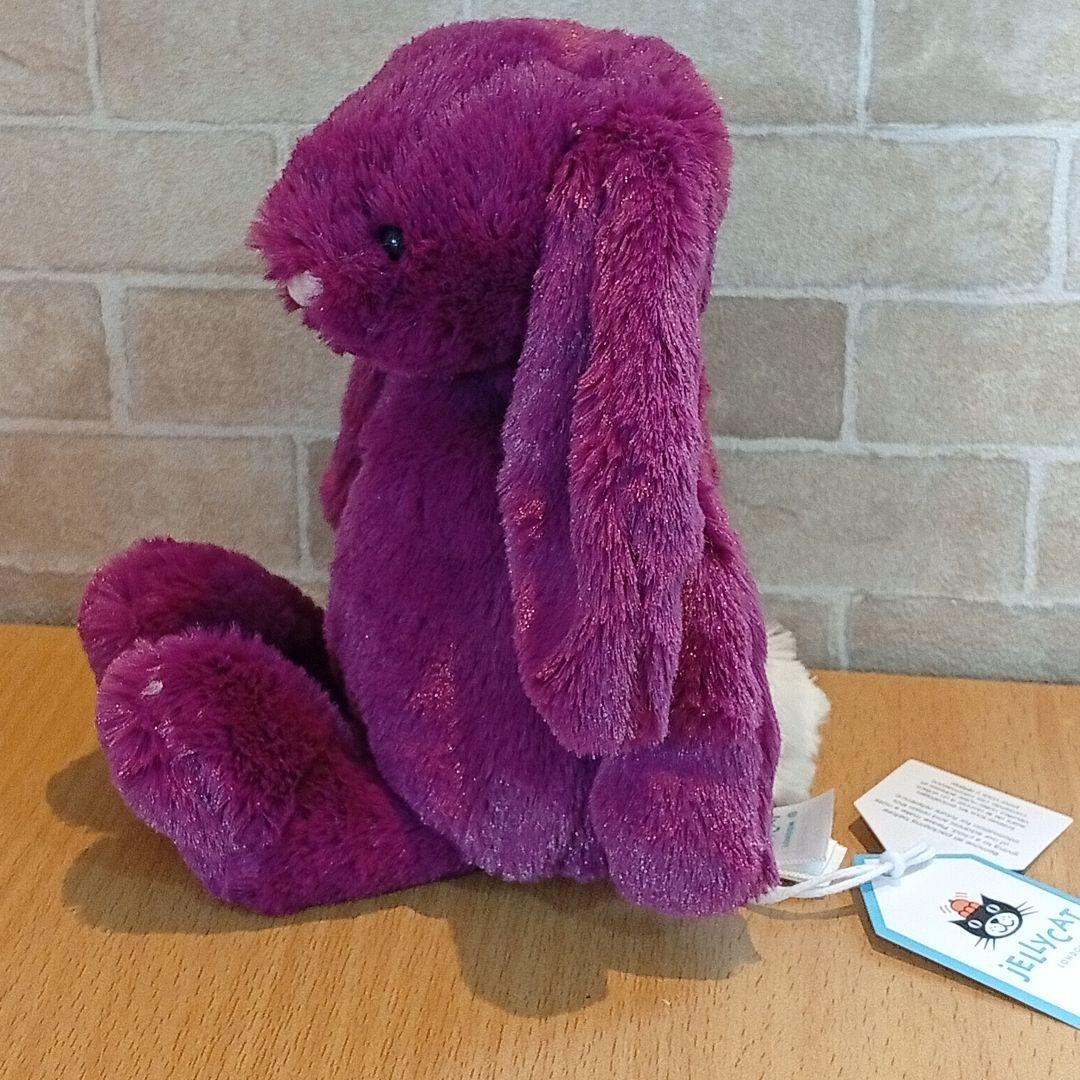  little allium Bunny　パープル　紫　うさぎ