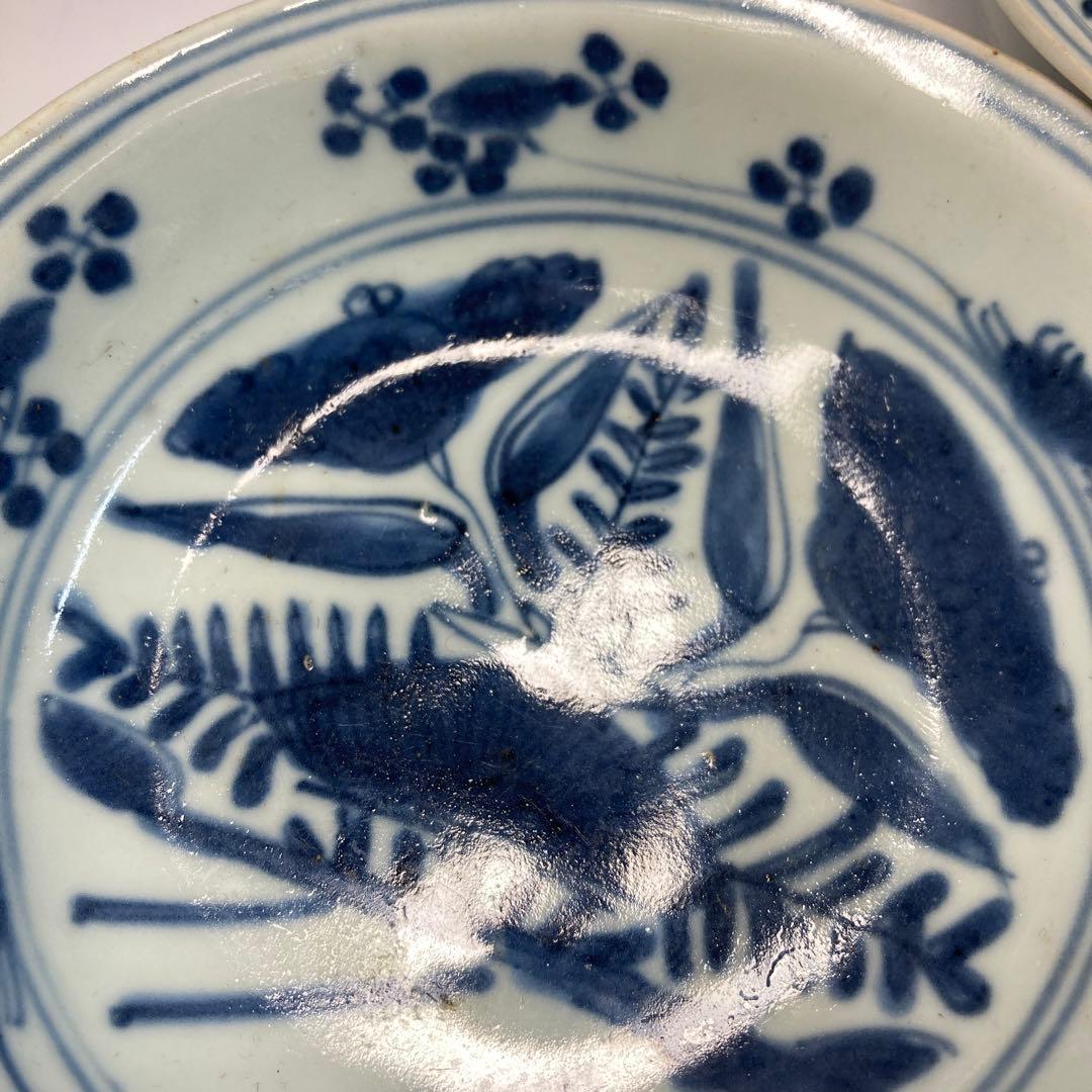 専用中国明時代　古染付向付5客　直径約14.5㎝　東Y6-0129☆2Fトトオカ