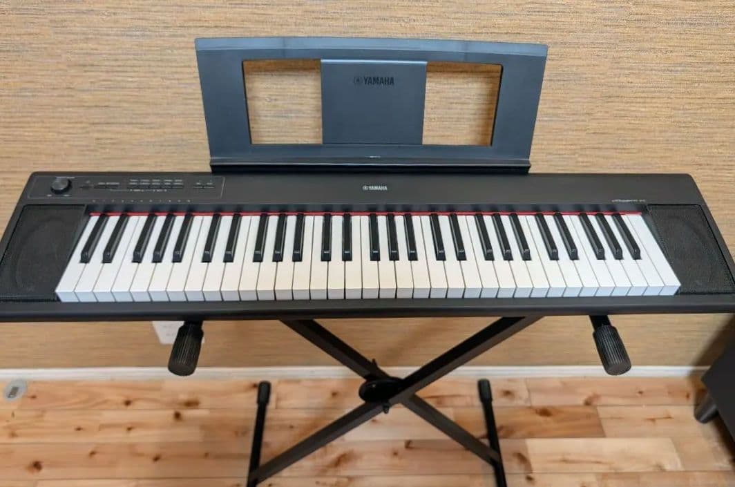 美品・送料無料 YAMAHA piaggero NP-12B 2021年製