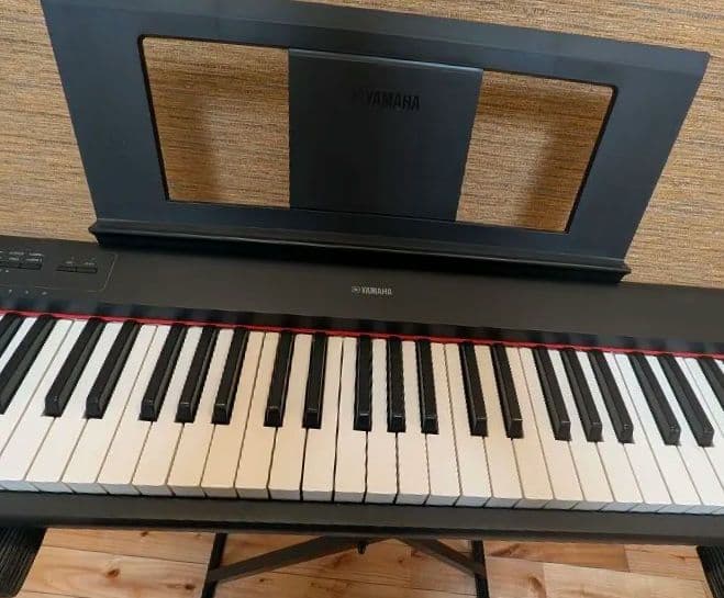 美品・送料無料 YAMAHA piaggero NP-12B 2021年製