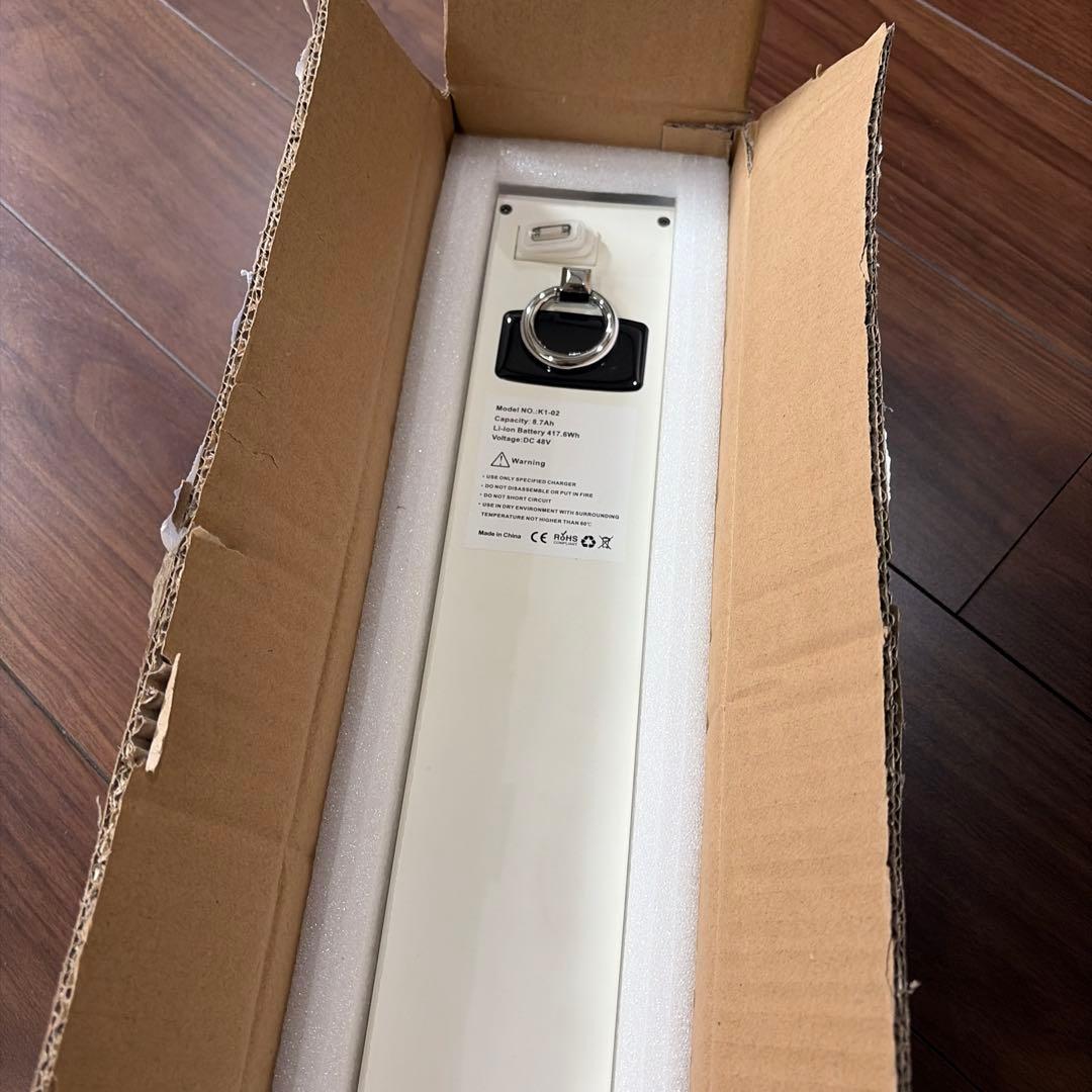 BLAZE 電動バイク SMART EV 脱着式　バッテリー