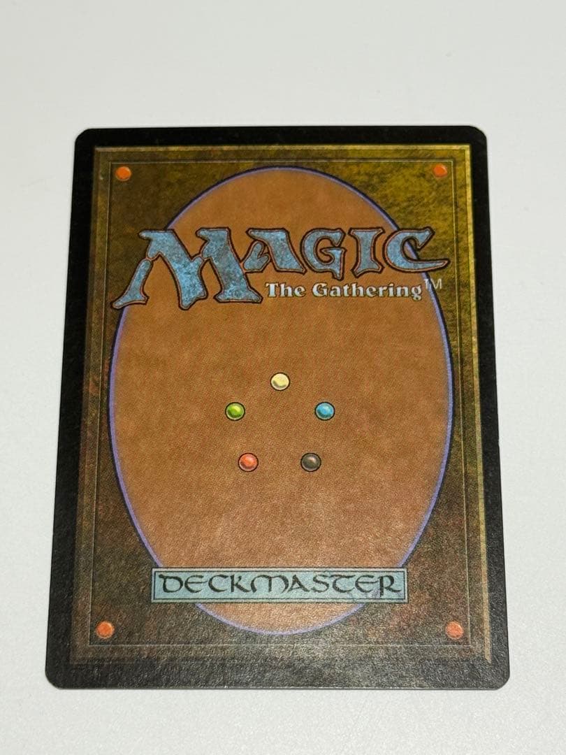 サーボの網　英語　FOIL