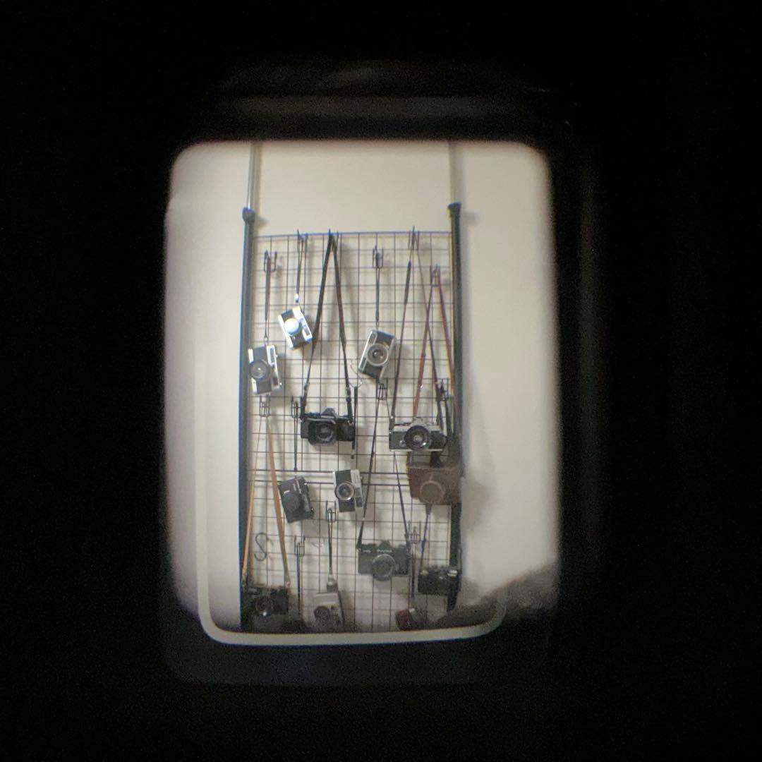 OLYMPUS PEN-EES-2 整備済