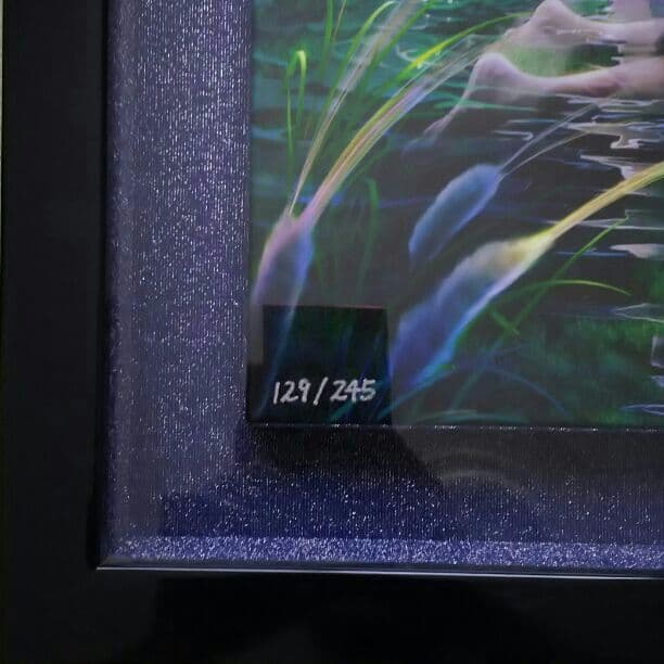 KAGAYA　アンドロメダ 絵画 美術品