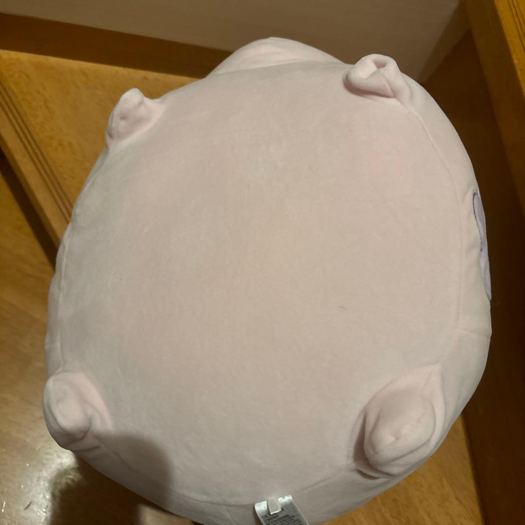 ポケットモンスター　ポケセン　ぬいぐるみ　ムンナ　ヒスイゾロア　2種 ポケモン