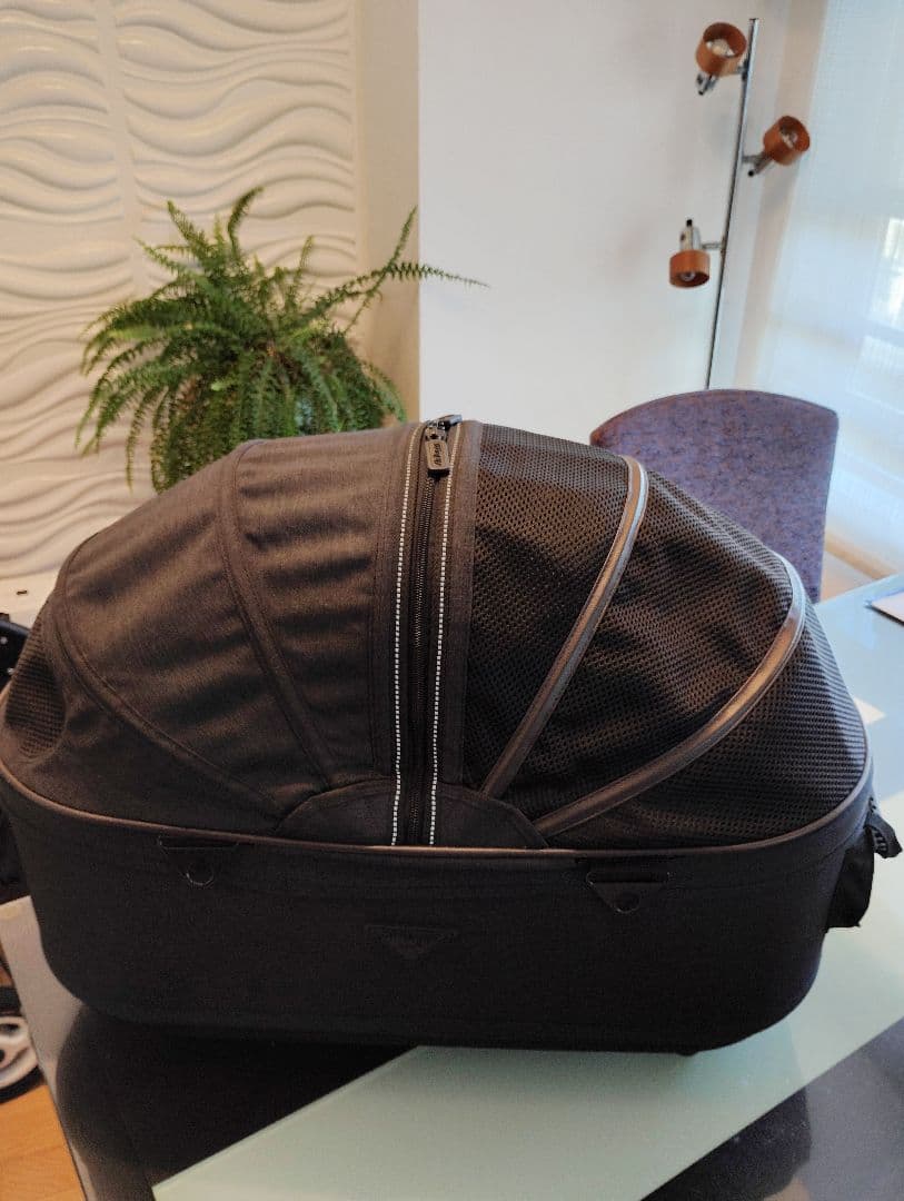 エアバギー×Mercedes-BenzDOME2 M